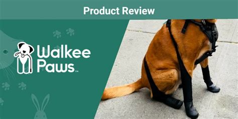 Walkee Paws Dog Boot Leggings Review 2024: Are They a Good Value? | Pet ...