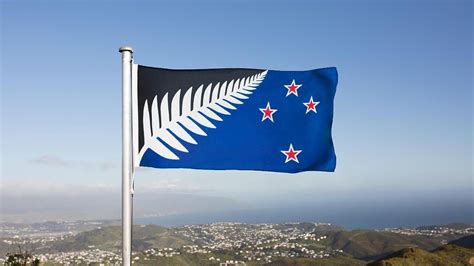 Why is the Silver Fern New Zealand's Symbol? - Silver Fern Flag | New zealand symbols, New ...