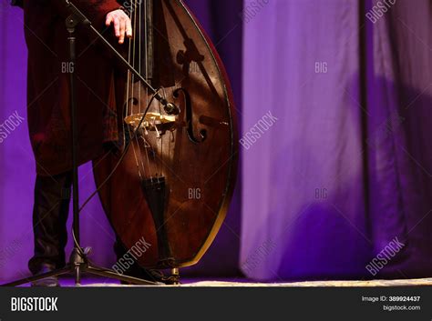 Acoustic Double Bass Image & Photo (Free Trial) | Bigstock