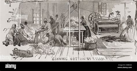 Ginning cotton by steam powered gin in 1861. U.S. cotton production supplied the textile mills ...