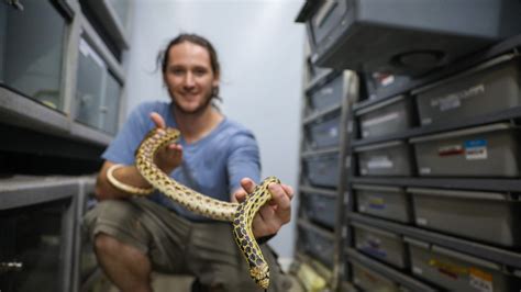 Herpetological sanctuary gives safe haven to snakes, other reptiles