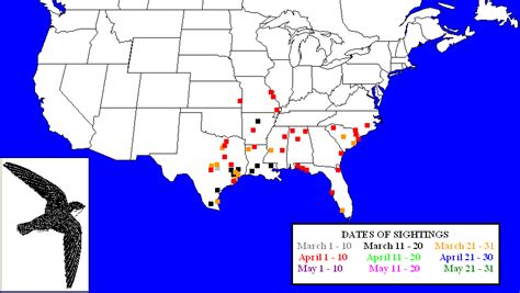 Tracking Chimney Swift Migration