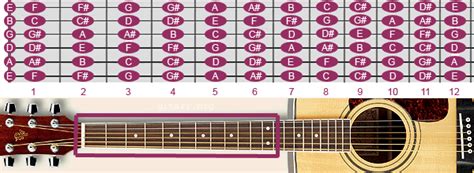 Fretboard with notes on the guitar