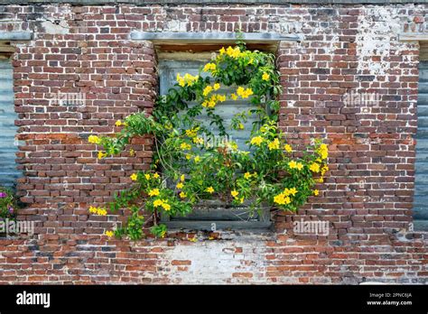 English Harbour Antigua Stock Photo - Alamy