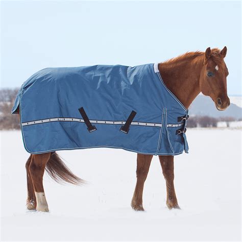 Medium Weight Winter Horse Blankets | Blog Dandk