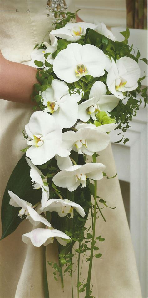 white orchids bouquet | White orchid bouquet, Orchid bouquet, White bouquet