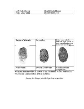 Introduction to Fingerprint Analysis Hands On Lab by Biology Minds