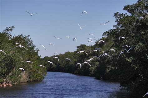 50 pictures of Florida Everglades National Park, An attractive ...