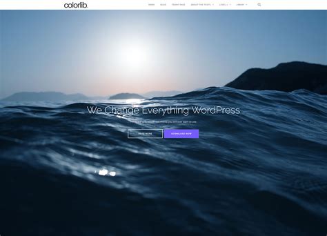 35 Awesome & Free Responsive WordPress Themes 2020 - Colorlib