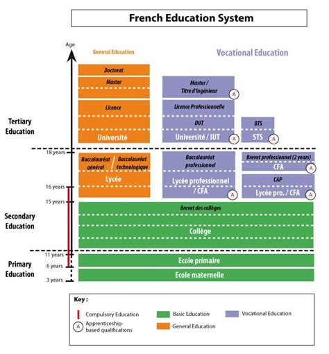 This graphic will help you to better understand the educational system in France. | Education ...