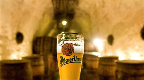 Top 10 Best Pilsner Beer Brands To Try