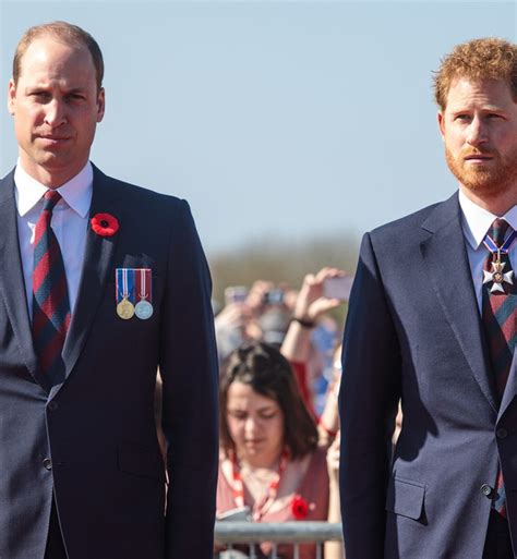 Why Prince William and Prince Harry Need Each Other, According to Royal ...