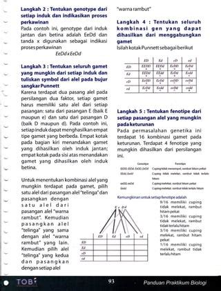 Simulasi genetika | PDF