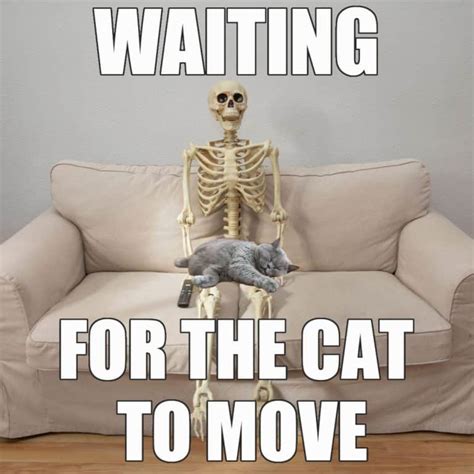 25 Funny Skeleton Waiting Memes That Will Make You Laugh