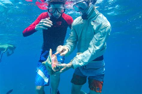 Belize Snorkeling Photo Gallery | Island Expeditions