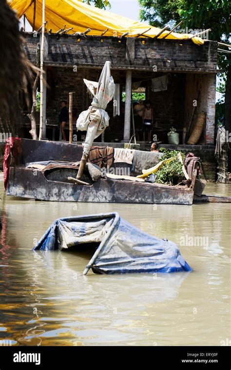 Kosi river flood , Koshi , Purnea , Purnia district , Bihar , India ...