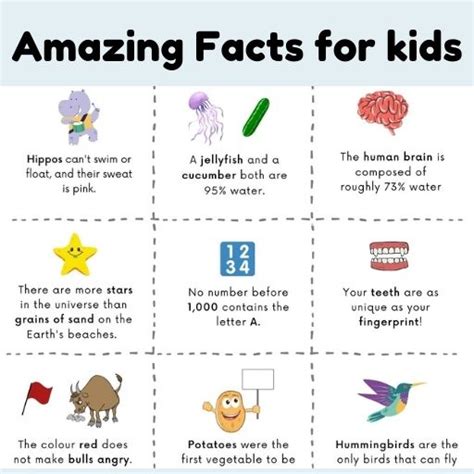 Random Facts for kids | Free printable - Shining Brains