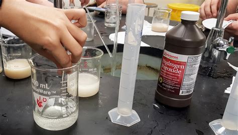 Investigation; Enzyme and Substrate Concentrations