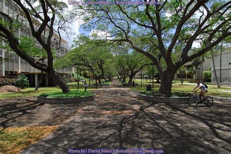 University of Hawaii at Manoa - Mall w/Bike! | Flickr - Photo Sharing!