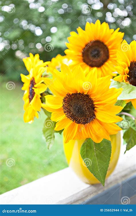 Bunch of sunflowers stock photo. Image of life, nature - 25652944