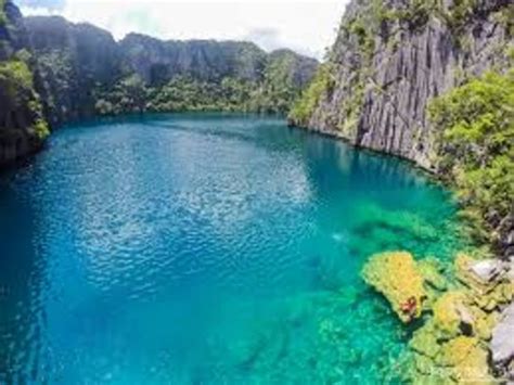 Barracuda Lake (Coron) - 2018 All You Need to Know Before You Go (with Photos) - TripAdvisor