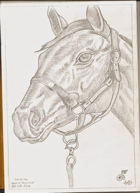 HORSE PENCIL SHADING - ( குதிரை )