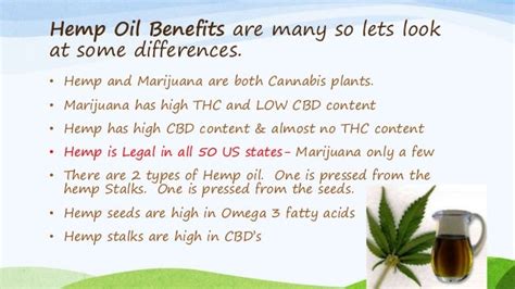 Hemp Oil benefits for happy skin | Top 20 Home Remedies