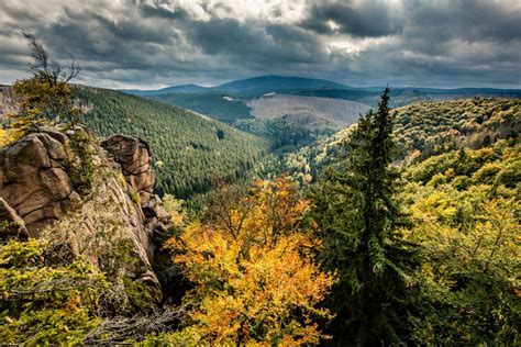 Welcome | Harz National Park | Nationalpark Harz