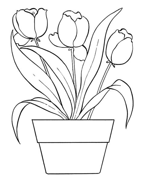 Flower Pot Drawing at GetDrawings | Free download