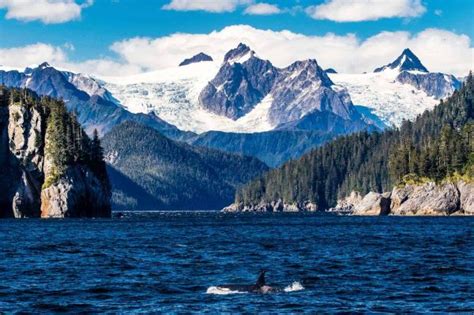 The 17 Best Things to Do in Seward, Alaska (2024)