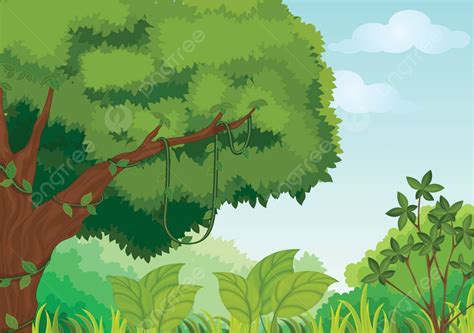 Nature Illustration Dense Tropical Cartoon Vector, Dense, Tropical, Cartoon PNG and Vector with ...