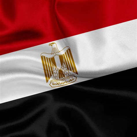 Egyptian Flag With Eagle Stock Photos, Pictures & Royalty-Free Images - iStock