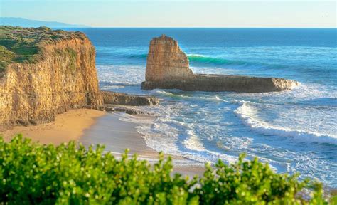 10 Best Beaches in Santa Cruz, CA | PlanetWare