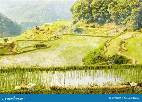 Banaue stock image. Image of mountains, tourist, range - 2498987