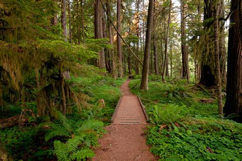 North Umpqua River - Western Rivers Conservancy