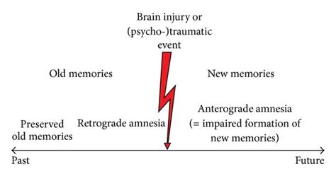 Possible consequences of brain injury on old and new memories ...