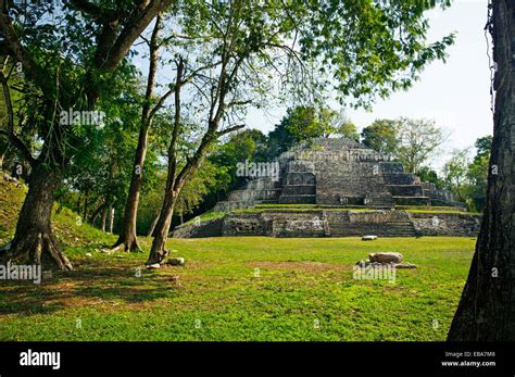 Ruins of Jaguar Temple at Lamanai Maya temple ruins at Lamanai 300BC - 1500AD Lamanai Belize ...