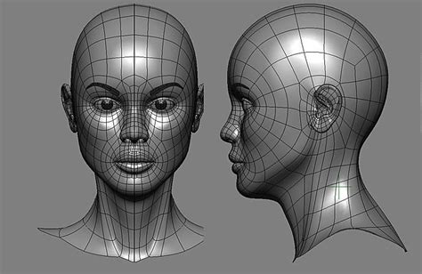 Face Model | Face blender, Face topology, Face drawing