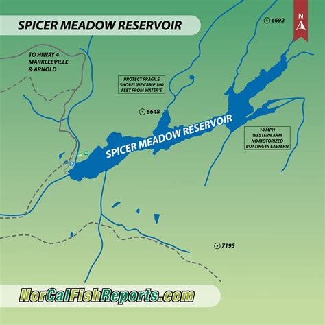 Spicer Meadow Reservoir - Fish Reports & Map