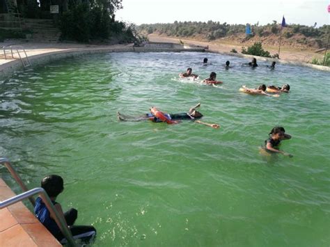 Swimming Pool - Picture of Orsang Camp, Vadodara - TripAdvisor