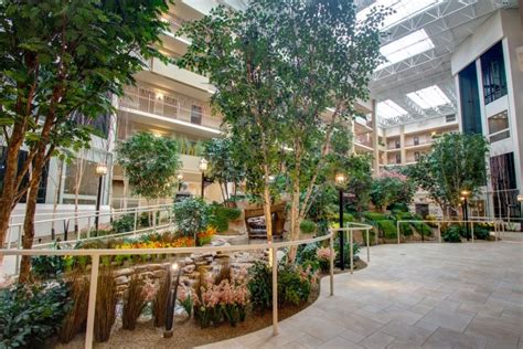 Indoor Atrium Trees & Plants at Senior Living Community | TreeScapes ...