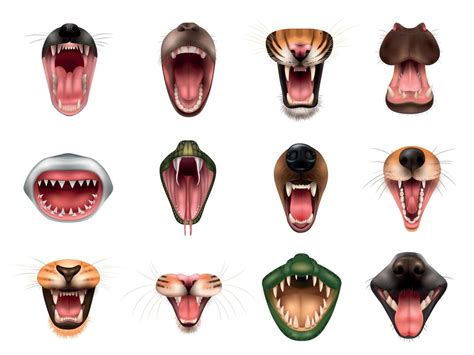 Animal Mouth Set 4661938 Vector Art at Vecteezy