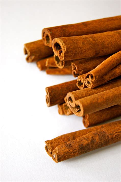 Cinnamon and Star Anis Spices · Free Stock Photo