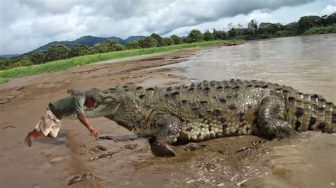 Welcome To Itomie News: Crocodile Eats 7 Year Old Boy Alive In Front Of ...