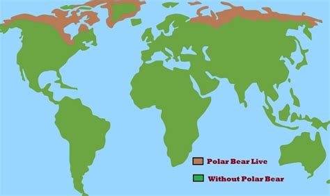 5 Nations Where Polar Bears Lives | Habitat Of Polar Bears – HunterHunts