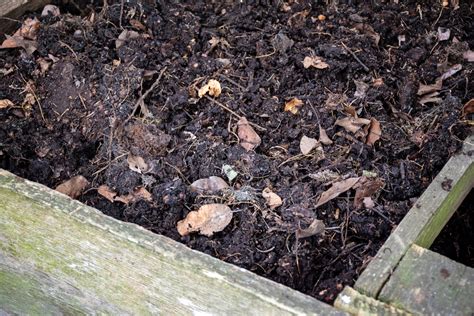 How To Make Incredible Compost From Leaves! Fast, Simple & Easy