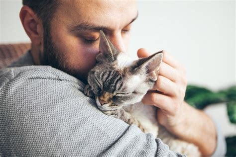 6 Situations Where a Landlord Can Legally Reject an ESA (Emotional Support Animal) | Hepper