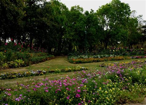 PICS: The Beautiful Lodi Gardens