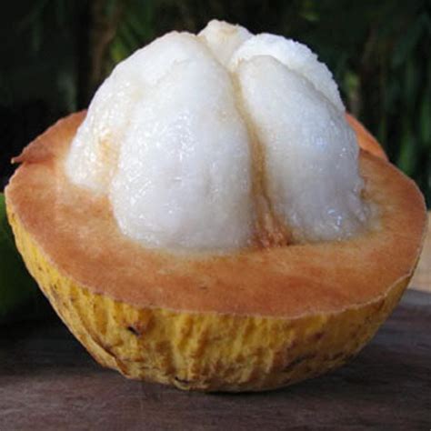 philippine santol fruit - Google Search | The Philippines | Pinterest | Philippines