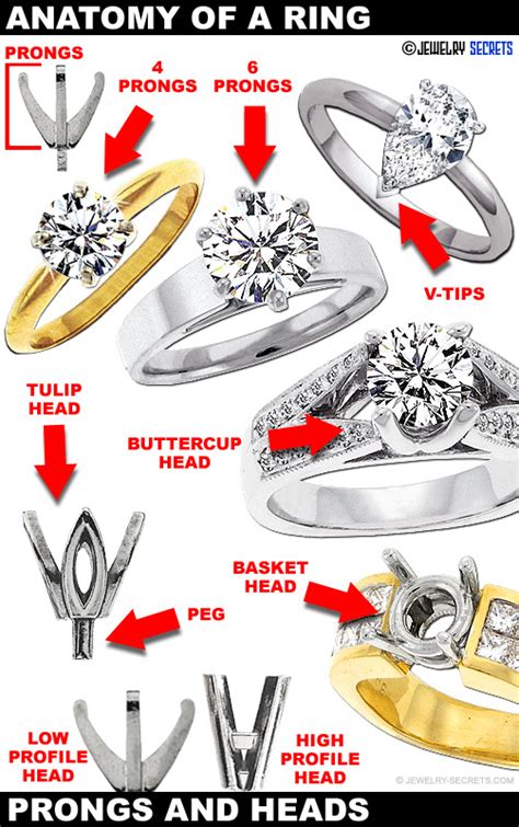 ANATOMY OF A RING – Jewelry Secrets